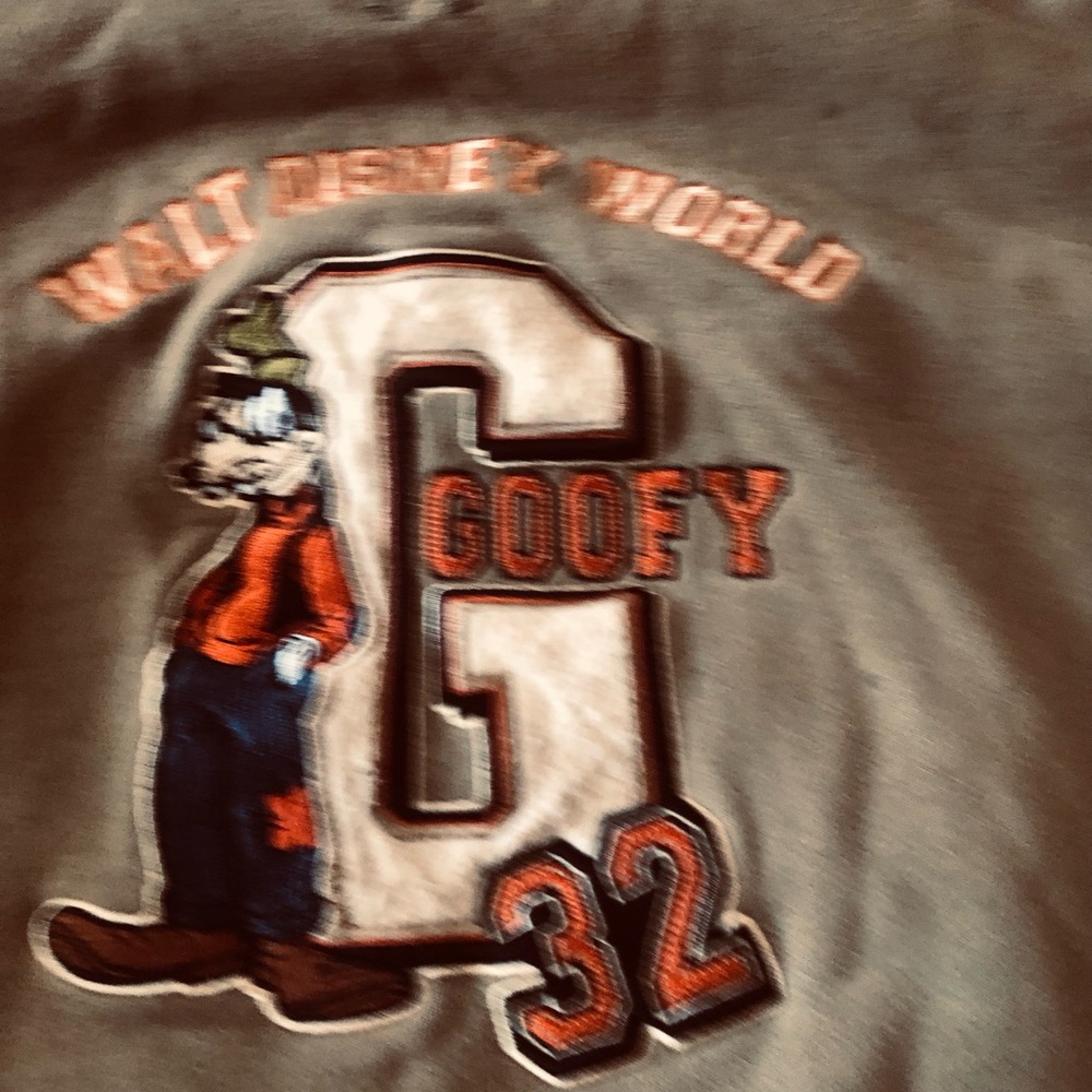 Disney Men's Goofy Varsity Graphic Sweatshirt -Hoodie sage green vintage